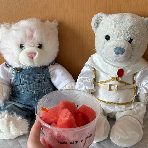 お風呂のご褒美にスイカをもらったよ。仕方ない、ゆるしてあげよう。
2,3枚目はお風呂の前に撮った写真だよ。
焼き鳥(鶏皮)と唐揚げに群がるハリネズミーず。そのあとに色が似てる(?)ってことで、ちびぷるどのと記念撮影したよ。