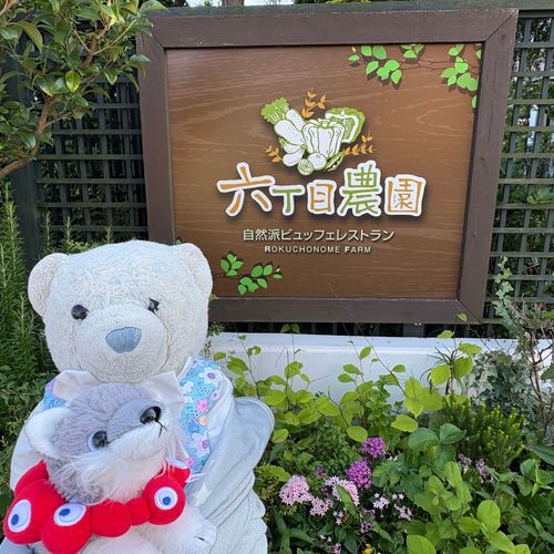 けあちゃといっしょに　びゅっへ？いってきた。
いっぱい　たべた。おかわり　2かいもした。おなかぱんぱん。
おや　もりつけ　へたっぴ。