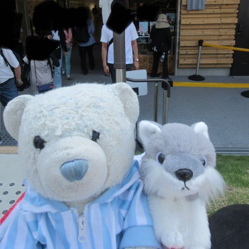 おおが　けあちゃの　かぞくになったときのしゃしん　でてきた。
まねっこして　とってみた。
おお　むかしのほうが　りりしい。けあちゃは　かわらない。