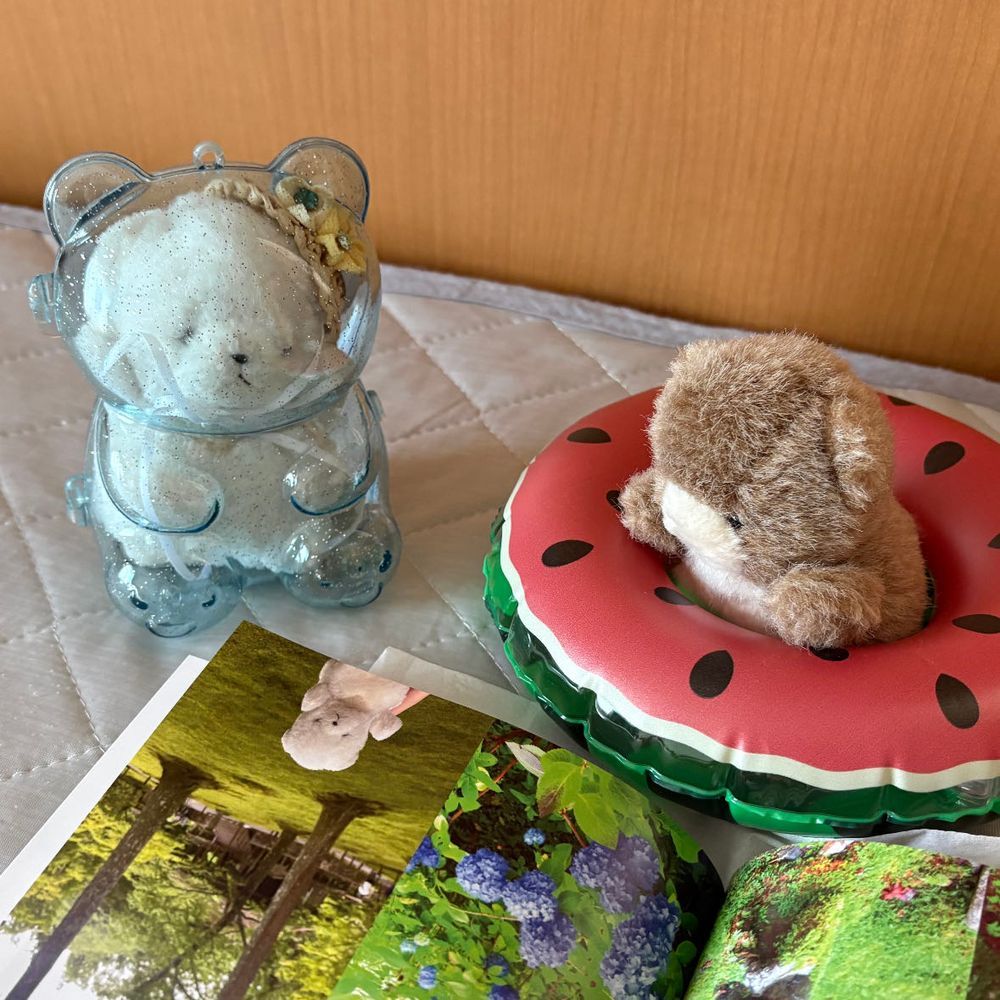 さんねんまえの　りょこうのフォトブックが　とどいたぞ！
2まいめは　モデルをした　ちびだ！いいしゃしんだ！
3まいめは　りょくちゃを　いれてあげたしゃしんだ！
4まいめは…ここで　まいごになって　みつけてもらったときの　しゃしんだ…うっ、みてるだけで　ずつうがしてきたぞ…！