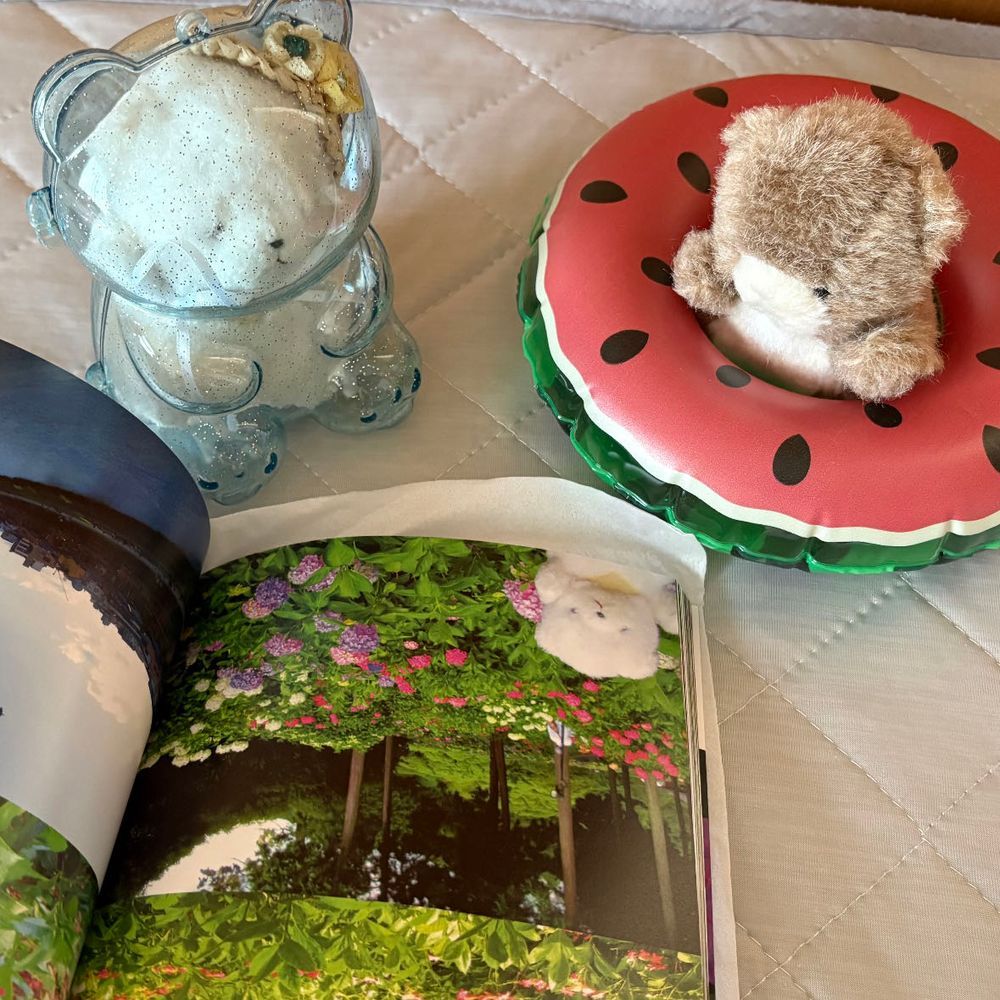 さんねんまえの　りょこうのフォトブックが　とどいたぞ！
2まいめは　モデルをした　ちびだ！いいしゃしんだ！
3まいめは　りょくちゃを　いれてあげたしゃしんだ！
4まいめは…ここで　まいごになって　みつけてもらったときの　しゃしんだ…うっ、みてるだけで　ずつうがしてきたぞ…！