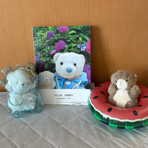 さんねんまえの　りょこうのフォトブックが　とどいたぞ！
2まいめは　モデルをした　ちびだ！いいしゃしんだ！
3まいめは　りょくちゃを　いれてあげたしゃしんだ！
4まいめは…ここで　まいごになって　みつけてもらったときの　しゃしんだ…うっ、みてるだけで　ずつうがしてきたぞ…！