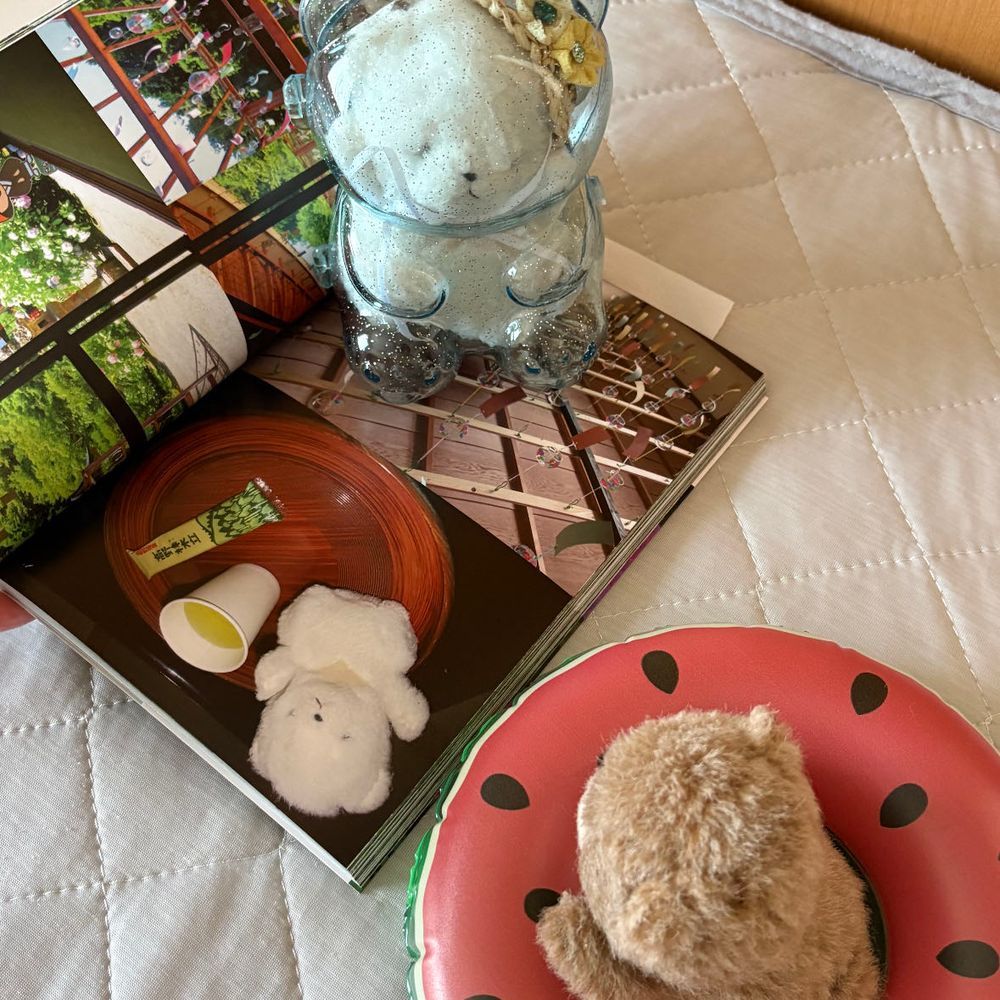 さんねんまえの　りょこうのフォトブックが　とどいたぞ！
2まいめは　モデルをした　ちびだ！いいしゃしんだ！
3まいめは　りょくちゃを　いれてあげたしゃしんだ！
4まいめは…ここで　まいごになって　みつけてもらったときの　しゃしんだ…うっ、みてるだけで　ずつうがしてきたぞ…！