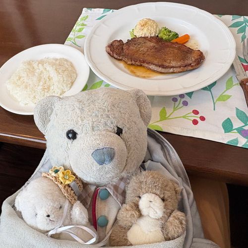 先月、ひまわり畑を見に行ったときに食べたステーキ定食だよ。
ガーリックがきいてて美味しかったよ。
監督者のけあがぎっちり捕まえてたから、２匹はつまみ食いできずに不満そうだったよ。
