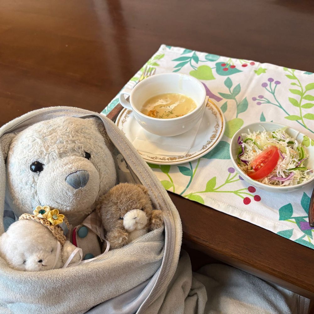先月、ひまわり畑を見に行ったときに食べたステーキ定食だよ。
ガーリックがきいてて美味しかったよ。
監督者のけあがぎっちり捕まえてたから、２匹はつまみ食いできずに不満そうだったよ。