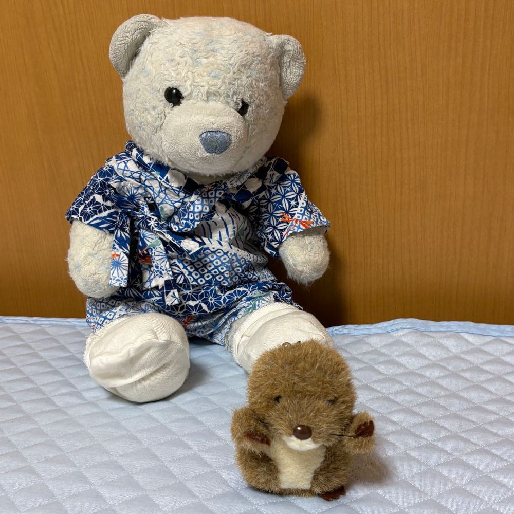 泣き声が聞こえると思ったら、声の主はもぐらん。ケースに入って出られなくなっちゃったみたい。
あけたら泣いて抱きついてきたよ。怖かったみたいだね。
一通り泣いたら去っていったよ。もぐらんはもぐるのが趣味。またお布団の中でかくれんぼかな。