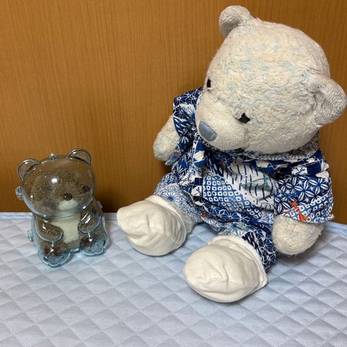 泣き声が聞こえると思ったら、声の主はもぐらん。ケースに入って出られなくなっちゃったみたい。
あけたら泣いて抱きついてきたよ。怖かったみたいだね。
一通り泣いたら去っていったよ。もぐらんはもぐるのが趣味。またお布団の中でかくれんぼかな。