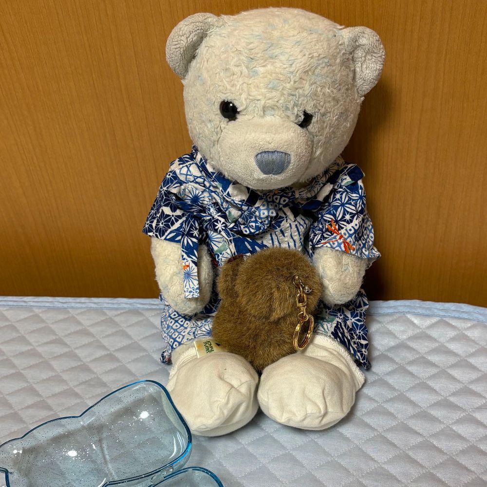 泣き声が聞こえると思ったら、声の主はもぐらん。ケースに入って出られなくなっちゃったみたい。
あけたら泣いて抱きついてきたよ。怖かったみたいだね。
一通り泣いたら去っていったよ。もぐらんはもぐるのが趣味。またお布団の中でかくれんぼかな。