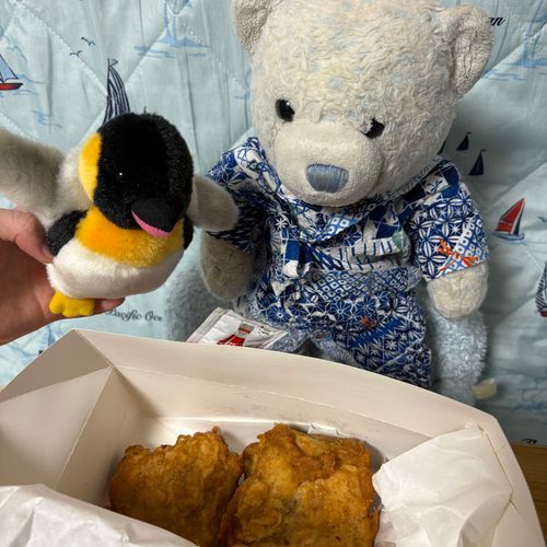 今日はにわの日。華金だ！と騒ぎながらおやがケンタッキーのとりの日パックを買ってきたよ。ちょうど食べたかったんだ。褒めてあげよう。
ぺんぺんが「鳥類だから一緒に食べるよ〜」ってやってきたよ。それでいいの？
ぺんぺんは常におててが上がってる元気な子だよ。ちびと相性がいいよ。