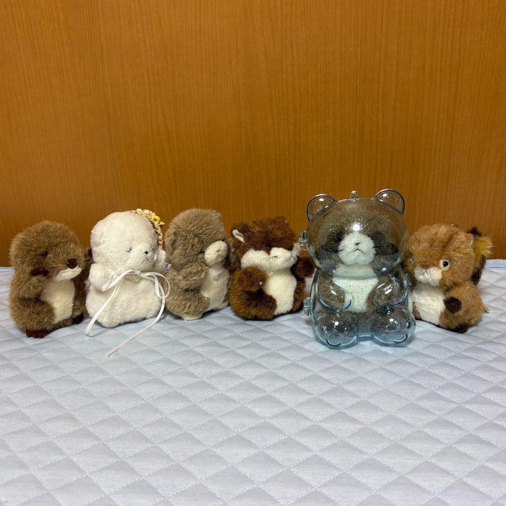 ちびっこたちの間でくまケースが大流行。
使った子が次に使う子の開閉を手伝ってあげるってルールになったみたい。いいことだね。
ミニっこたちが観客としてやってきたよ。みんな楽しそうだね。