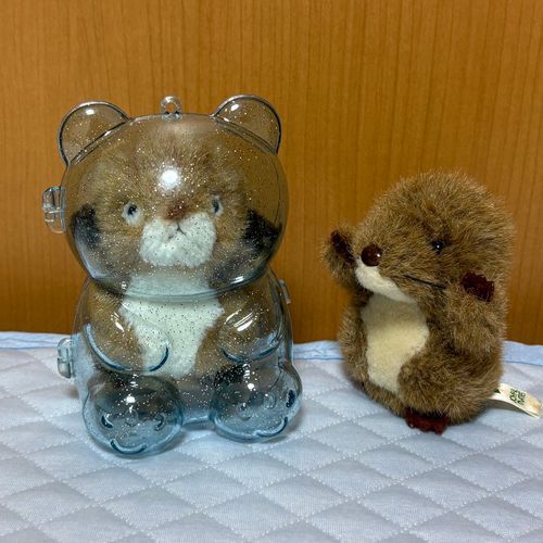 ちびっこたちの間でくまケースが大流行。
使った子が次に使う子の開閉を手伝ってあげるってルールになったみたい。いいことだね。
ミニっこたちが観客としてやってきたよ。みんな楽しそうだね。