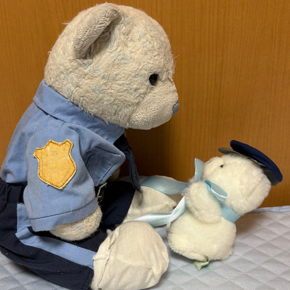 けあは警察官の衣装を黒と青の2着持ってるんだけど、青の方を着たら早速でかがやってきたよ。
「だっこちてください！」って言われたから、膝に乗せたら喜んでたよ。
でかのリボンでかすぎるね。転んじゃう前にちょっと切らなきゃだね。