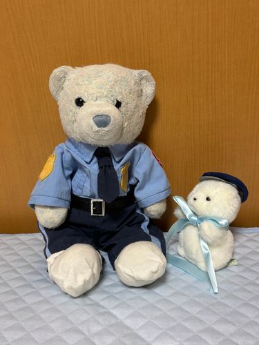 けあは警察官の衣装を黒と青の2着持ってるんだけど、青の方を着たら早速でかがやってきたよ。
「だっこちてください！」って言われたから、膝に乗せたら喜んでたよ。
でかのリボンでかすぎるね。転んじゃう前にちょっと切らなきゃだね。