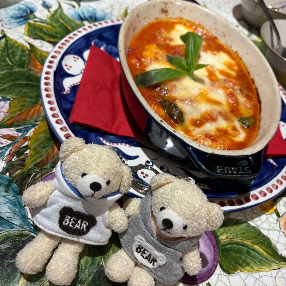 スパイたちが美味しそうなものを食べてきたみたい。
全部食べたの？って聞いたら、ほかの子とも分けたって言ってたよ。それなら良かった。
実はけあはチーズがニガテなんだ。スパイたちは美味しく頂いたみたいだよ。