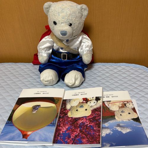 届いた旅行のフォトブックの表紙を見てビックリ。全部けあの写真じゃん。
中を開いてさらにビックリ。旅行のフォトブックじゃなくて、けあの写真集の間違いじゃないの？
今日は王子様けあだよ。カッコいいかな。