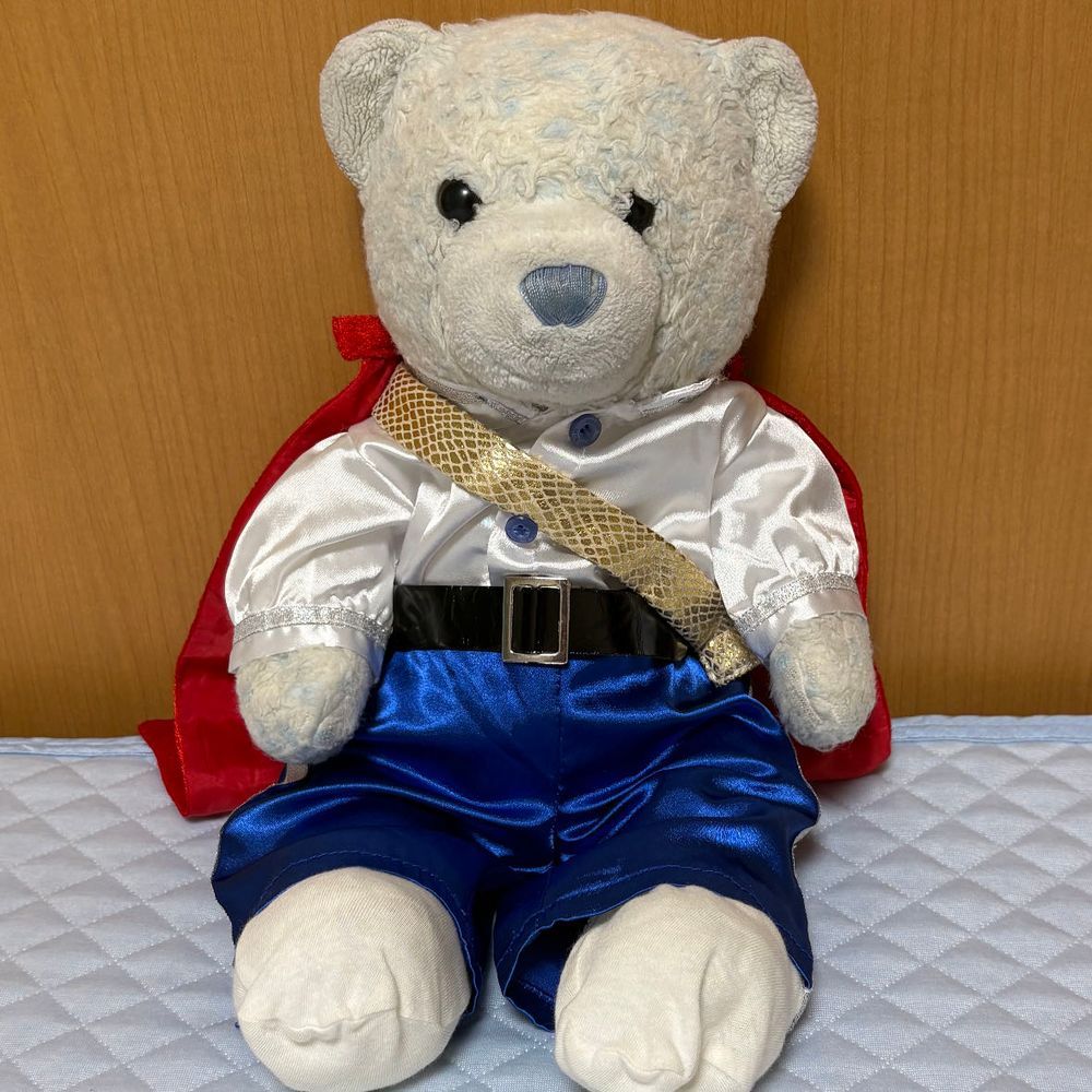 届いた旅行のフォトブックの表紙を見てビックリ。全部けあの写真じゃん。
中を開いてさらにビックリ。旅行のフォトブックじゃなくて、けあの写真集の間違いじゃないの？
今日は王子様けあだよ。カッコいいかな。
