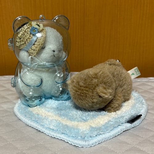 ふゆにむけて　カーペットをもらったぞ！
むむむ！ケースのまま　すりすりしても　わからないぞ！
ケースからでて　すりすりしたぞ！さいこうだ！ケースは　ちびおにとられたぞ！