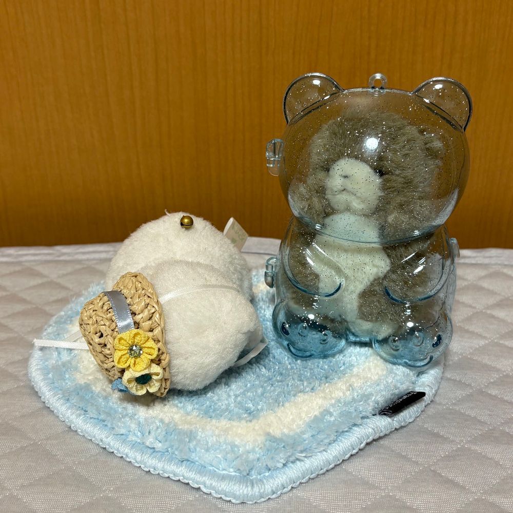ふゆにむけて　カーペットをもらったぞ！
むむむ！ケースのまま　すりすりしても　わからないぞ！
ケースからでて　すりすりしたぞ！さいこうだ！ケースは　ちびおにとられたぞ！