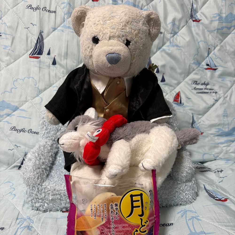 今日はすごい雨で不安だったから、初めておやの職場についていったよ。ぷるぷる震えてたおおくんも連れて行ったよ。
幸いにも大きな被害はなくて、帰りにご褒美のどら焼きを買ってもらったよ。おおくんは疲れ果てて寝たよ。
けあが寝る時間になったら元気になったおおくん。けあは寝るよ。遊ばないよ。