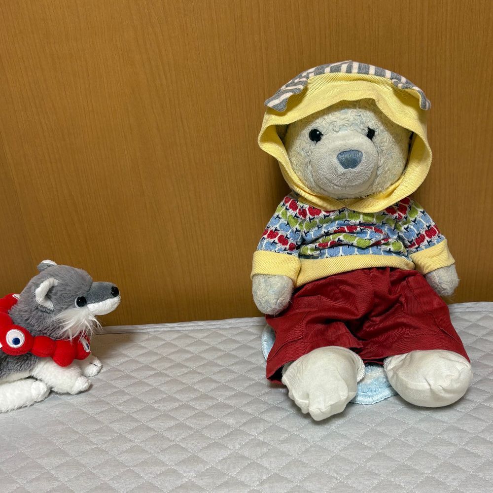 ちびたち用のカーペットが落ちてる。
けあもこっそり使ってみたけど…けあには小さいね。
あっ、おおくんなに？フードがイヤなの？
フード脱がされてちゅっちゅされたよ。自由な子だね。