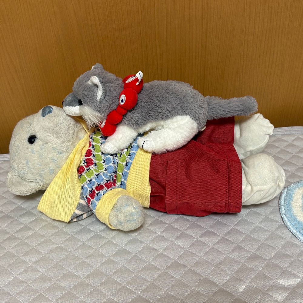 ちびたち用のカーペットが落ちてる。
けあもこっそり使ってみたけど…けあには小さいね。
あっ、おおくんなに？フードがイヤなの？
フード脱がされてちゅっちゅされたよ。自由な子だね。