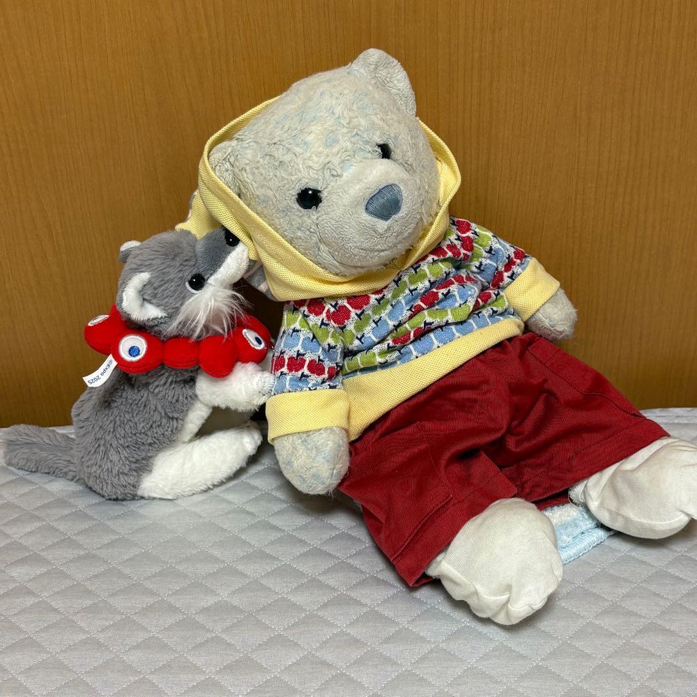 ちびたち用のカーペットが落ちてる。
けあもこっそり使ってみたけど…けあには小さいね。
あっ、おおくんなに？フードがイヤなの？
フード脱がされてちゅっちゅされたよ。自由な子だね。