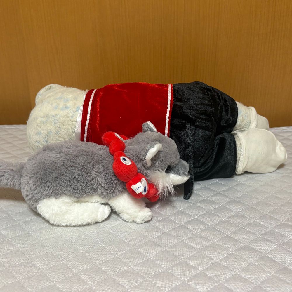 急に暑くなって夏バテしたけあ。布団から起き上がれないよ。
ゴロゴロしてたら、服のしっぽで遊び出したおおくん。
ゴロンと寝転がったら喜んでたよ。そのまま一緒に寝ちゃった。