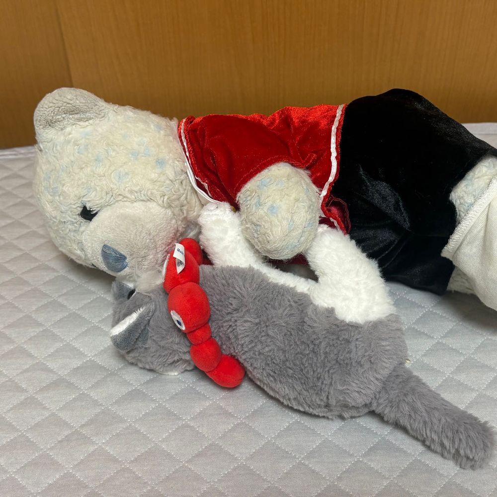 急に暑くなって夏バテしたけあ。布団から起き上がれないよ。
ゴロゴロしてたら、服のしっぽで遊び出したおおくん。
ゴロンと寝転がったら喜んでたよ。そのまま一緒に寝ちゃった。