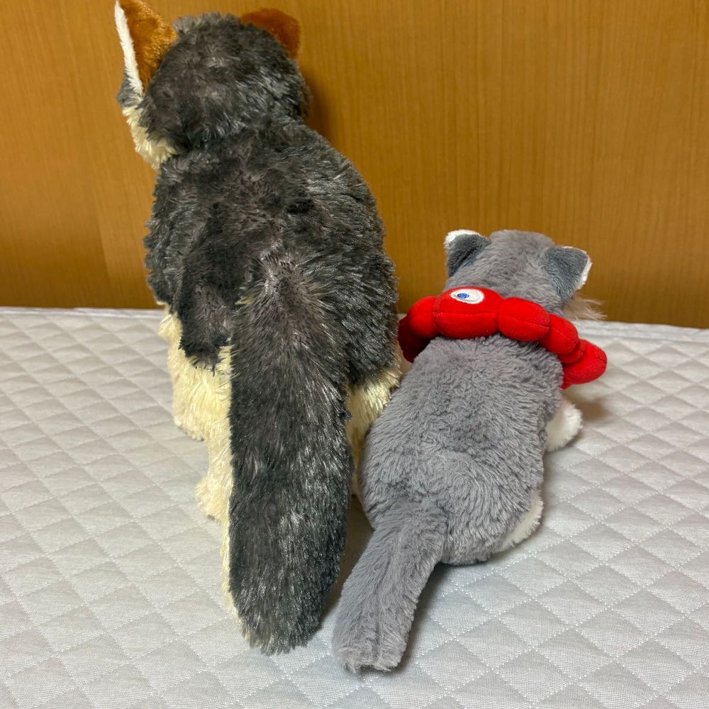 そんけいする　オオカミせんぱい。
おおのこと　のせてくれる。カッコいい。
しっぽ　こんなにちがう。オオカミせんぱい　しっぽ　おっきい。カッコいい。