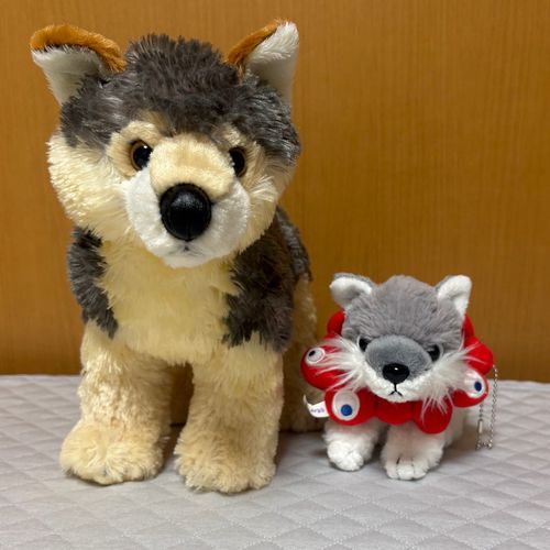そんけいする　オオカミせんぱい。
おおのこと　のせてくれる。カッコいい。
しっぽ　こんなにちがう。オオカミせんぱい　しっぽ　おっきい。カッコいい。