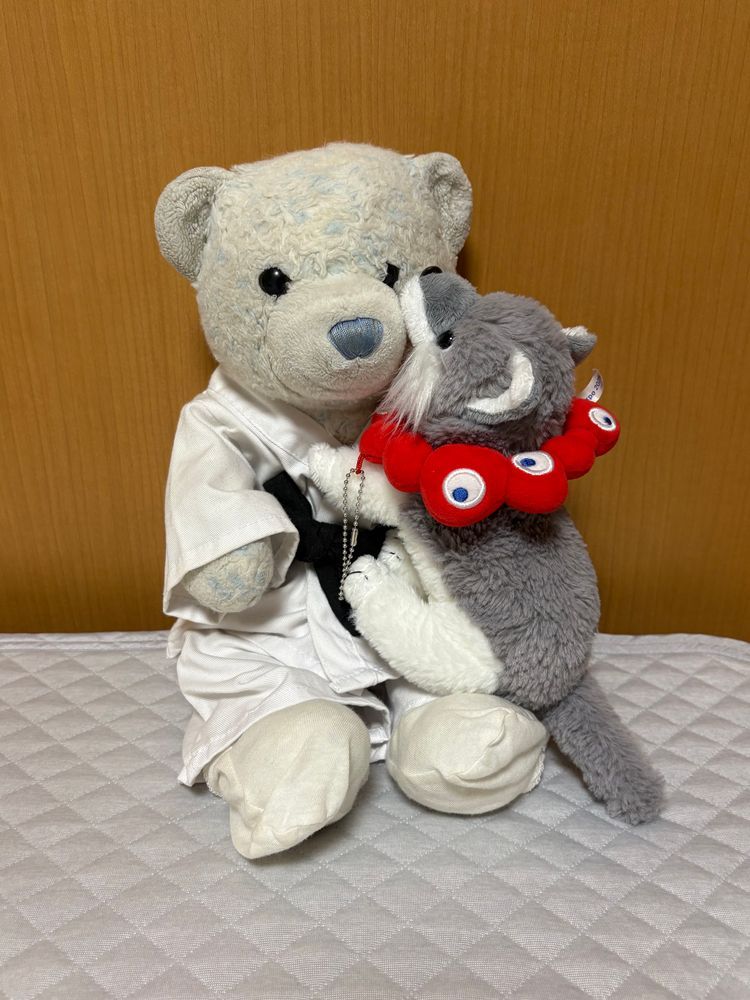 なぜか柔道着を着せられたけあです。
おおくんが「おおがかつ！」って言ってやってきたけど、柔道になってないよ。ただのちゅっちゅだよ。
