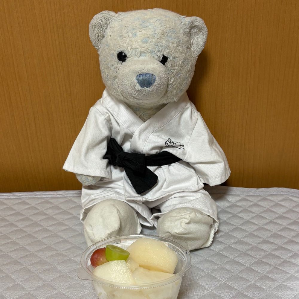 今日のフルーツ杏仁豆腐はオレンジとキウイ。なんだか黄色い？と思ったら、杏仁豆腐じゃなくてたまごプリンだったよ。
2枚目は一昨日食べた梨。
3枚目は昨日食べた栗のお菓子。
また甘いものばかり買ってくるから、全部けあが没収したよ。