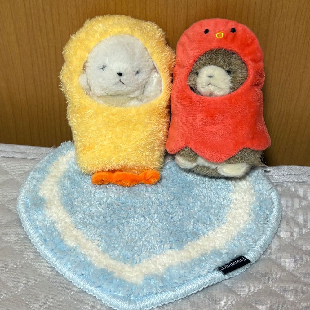 なつもおわり！むぎわらぼうしは　そつぎょうだ！
おようふくばこを　あさるぞ！
じゃじゃーん！エビタココンビの　かんせいだ！