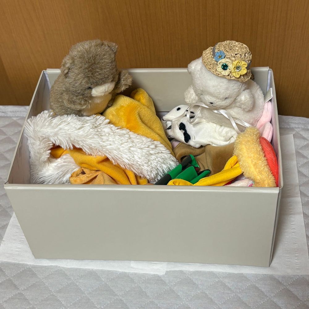 なつもおわり！むぎわらぼうしは　そつぎょうだ！
おようふくばこを　あさるぞ！
じゃじゃーん！エビタココンビの　かんせいだ！