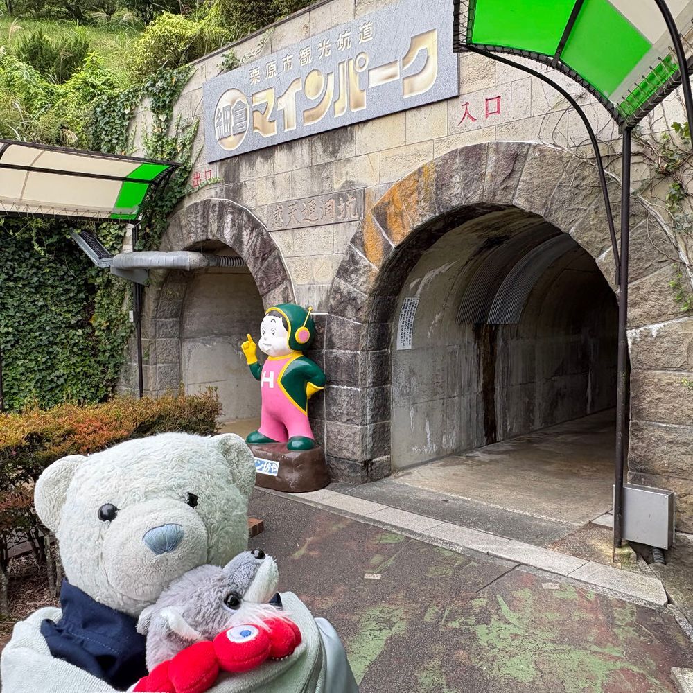 昨日は細倉マインパークへ行ってきたよ。
坑道は15℃くらいしかなくてひんやりしてたよ。
1987年に閉山しちゃったらしい鉱山。色々勉強になったよ。