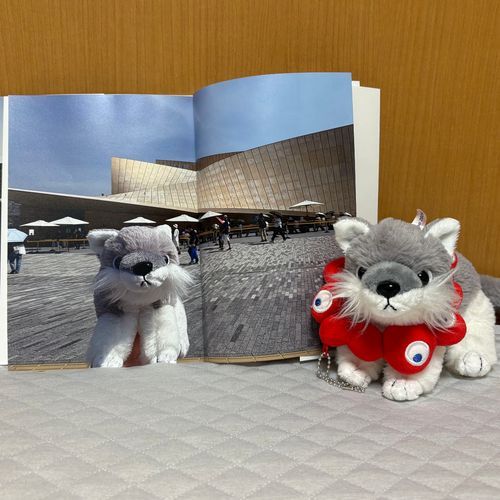 みんなみて！ばんぱくフォトブック　とどいた。おおの　みひらきページあるよ！
おお　このころとくらべて　あいされけなみになった。いいでしょ。ふんふん♪