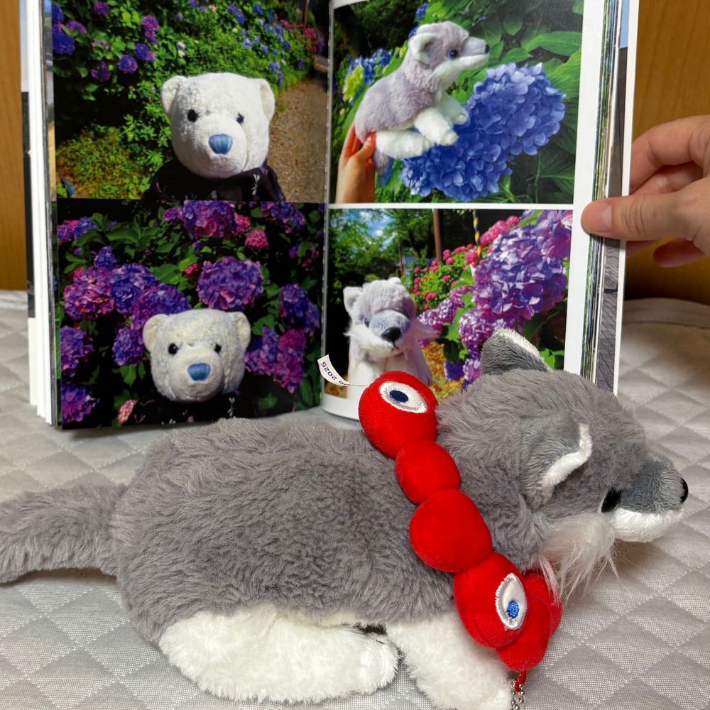 みんなみて！ばんぱくフォトブック　とどいた。おおの　みひらきページあるよ！
おお　このころとくらべて　あいされけなみになった。いいでしょ。ふんふん♪