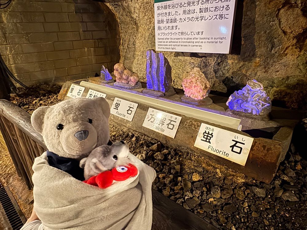 細倉マインパークの続きだよ。
鉱山の中は、オシャレに飾り付けられてるところもあったよ。
壁が青いところもあったよ。何でできてるんだろう？
光る石におおくんは興味津々。
キャラクターのぬいぐるみもあったよ。きっと昔はもっと賑わってたんだろうな。