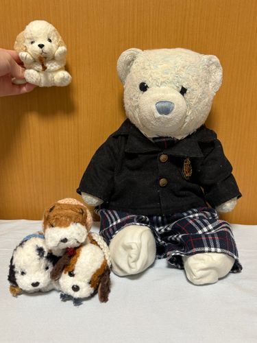 中秋の名月なのに、お団子を買ってもらえなかったよ。残念。
左上のわんこをお月様、左下の３匹をお月見団子に見立てて記念撮影。
明日はお団子買ってね。絶対だよ。