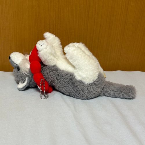 けあちゃー！おお　ひっくりかえってるよー！おこしてー！
けあちゃ！みてるだけ　イヤ。おこして。
やっと　おこしてくれた。けあちゃ　だいすき。