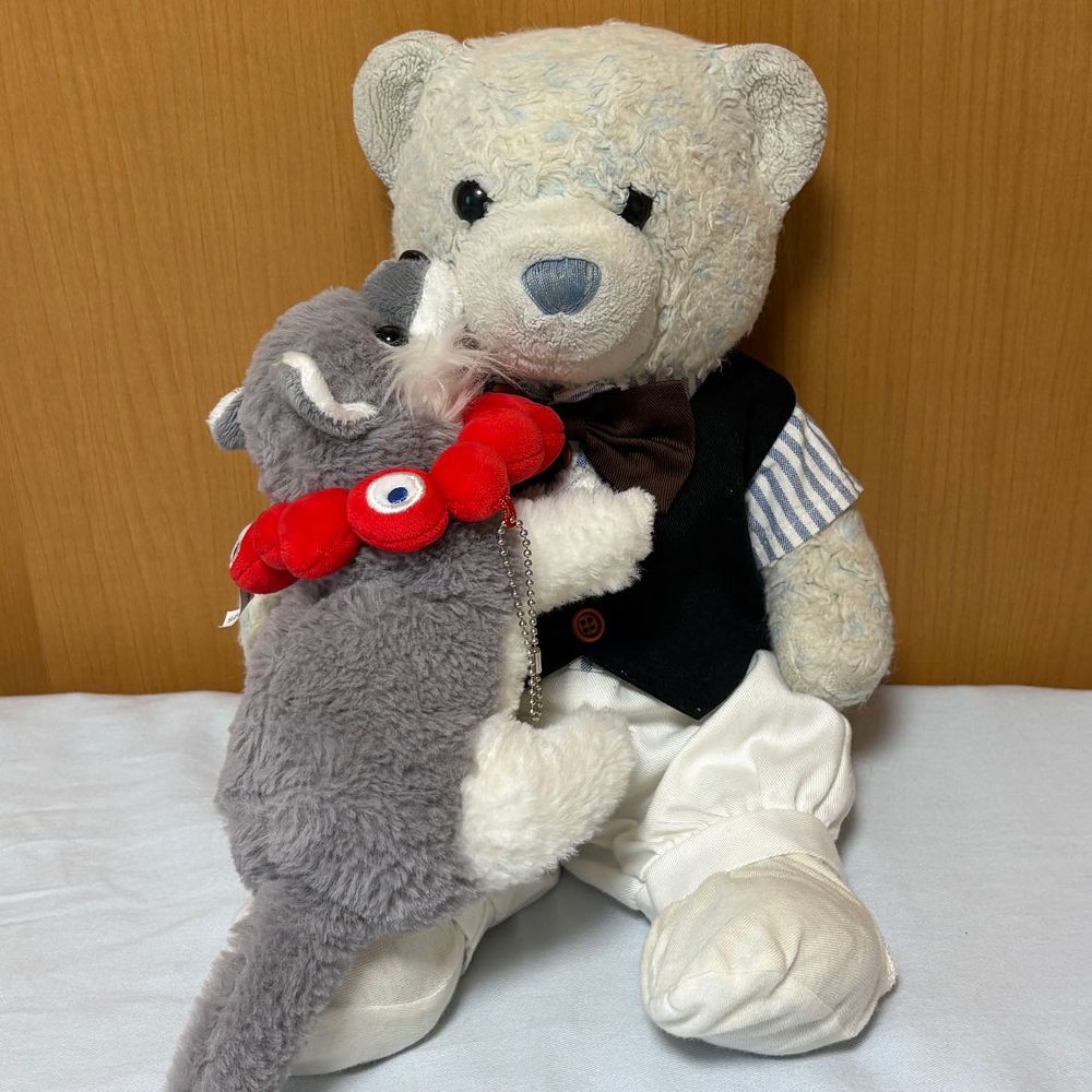 けあちゃー！おお　ひっくりかえってるよー！おこしてー！
けあちゃ！みてるだけ　イヤ。おこして。
やっと　おこしてくれた。けあちゃ　だいすき。