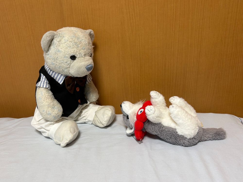 けあちゃー！おお　ひっくりかえってるよー！おこしてー！
けあちゃ！みてるだけ　イヤ。おこして。
やっと　おこしてくれた。けあちゃ　だいすき。