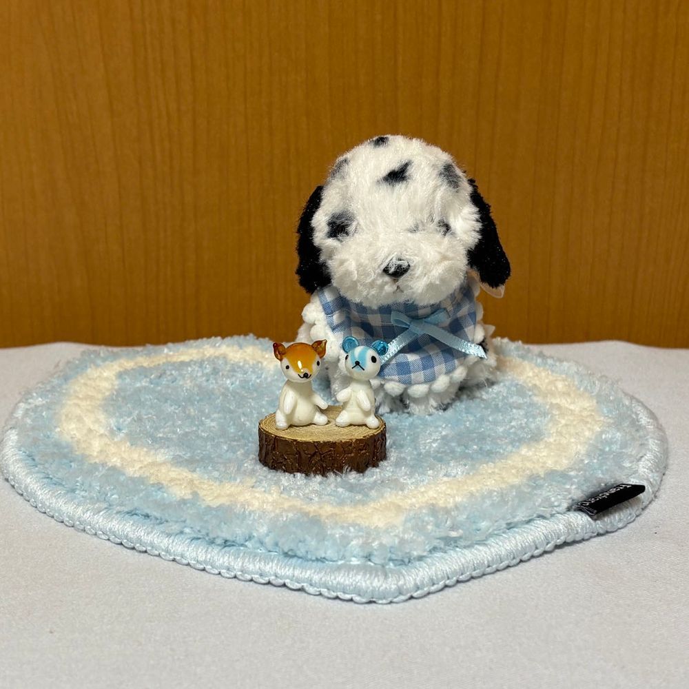 だんだん寒くなってきたから、秋の飾りを準備したよ🍁
可愛いりすさんたちも秋っぽいから出してみたんだ🐿️
今年の秋は長く続くといいなぁ✨