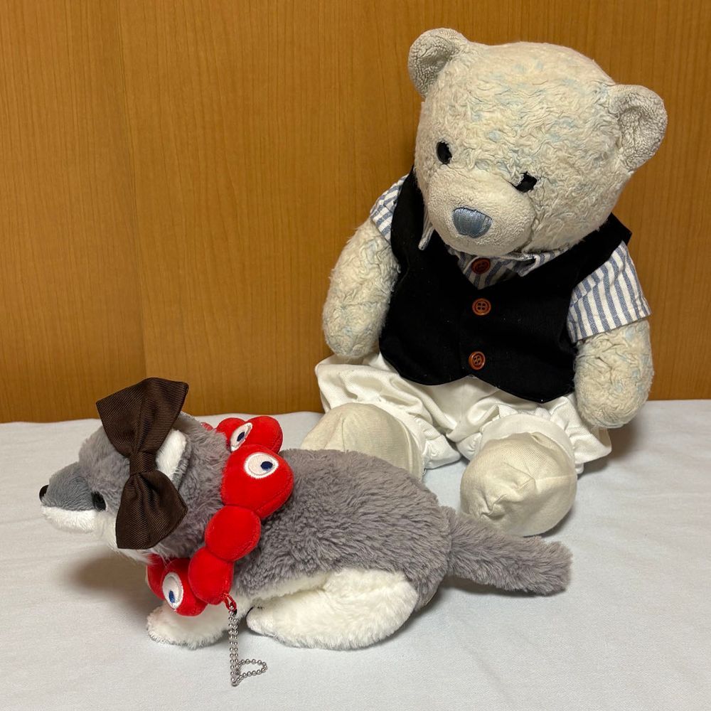 けあの蝶ネクタイがない。
おふとんに置き忘れたかと思ったけど、ここにもない。
あれ？おおくんがつけてるのって、けあの蝶ネクタイじゃない？
やっぱり、間違いないよ。ドヤ顔してないで返して。おおくんじゃなくておおこちゃんになってるよ。