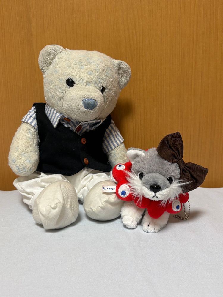 けあの蝶ネクタイがない。
おふとんに置き忘れたかと思ったけど、ここにもない。
あれ？おおくんがつけてるのって、けあの蝶ネクタイじゃない？
やっぱり、間違いないよ。ドヤ顔してないで返して。おおくんじゃなくておおこちゃんになってるよ。