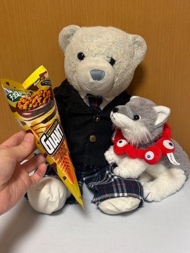 今日はアイスが安かったから買ってもらったよ。
おおくんがおねだりしてきたよ。
制服着てアイス食べると、なんだか青春っぽいね。