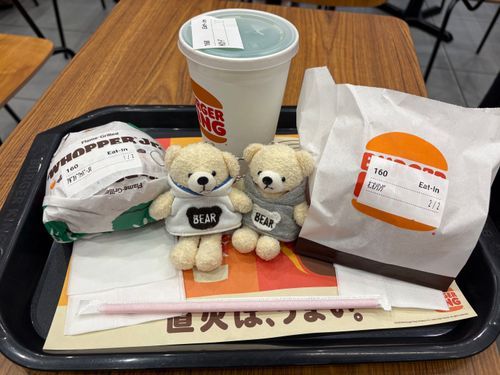 とてもショックなことがあったよ。
お気に入りのチキン南蛮のお店が閉店したんだ。
代わりにバーガーキングを食べてきたらしい。味覚共有してもらったよ。
けあはチキン南蛮難民になっちゃってとても悲しいよ。