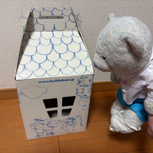 お掃除してたら懐かしいものが出てきたよ。
けあはお店で買われたあと、この箱に入れられておやのおうちに連れて行かれたんだ。
昔はおやとケンカするとよくこの箱にこもってたよ。今はもうふさまにこもってるよ。