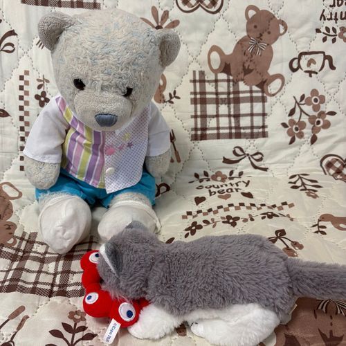 けあちゃ　りょこうで　むいかも　おうちあけるの？
そんなの　たえられない。おお　さみしい。
しくしく　ないたら　つれていってくれることになった！
おおの　さくせんがち♪