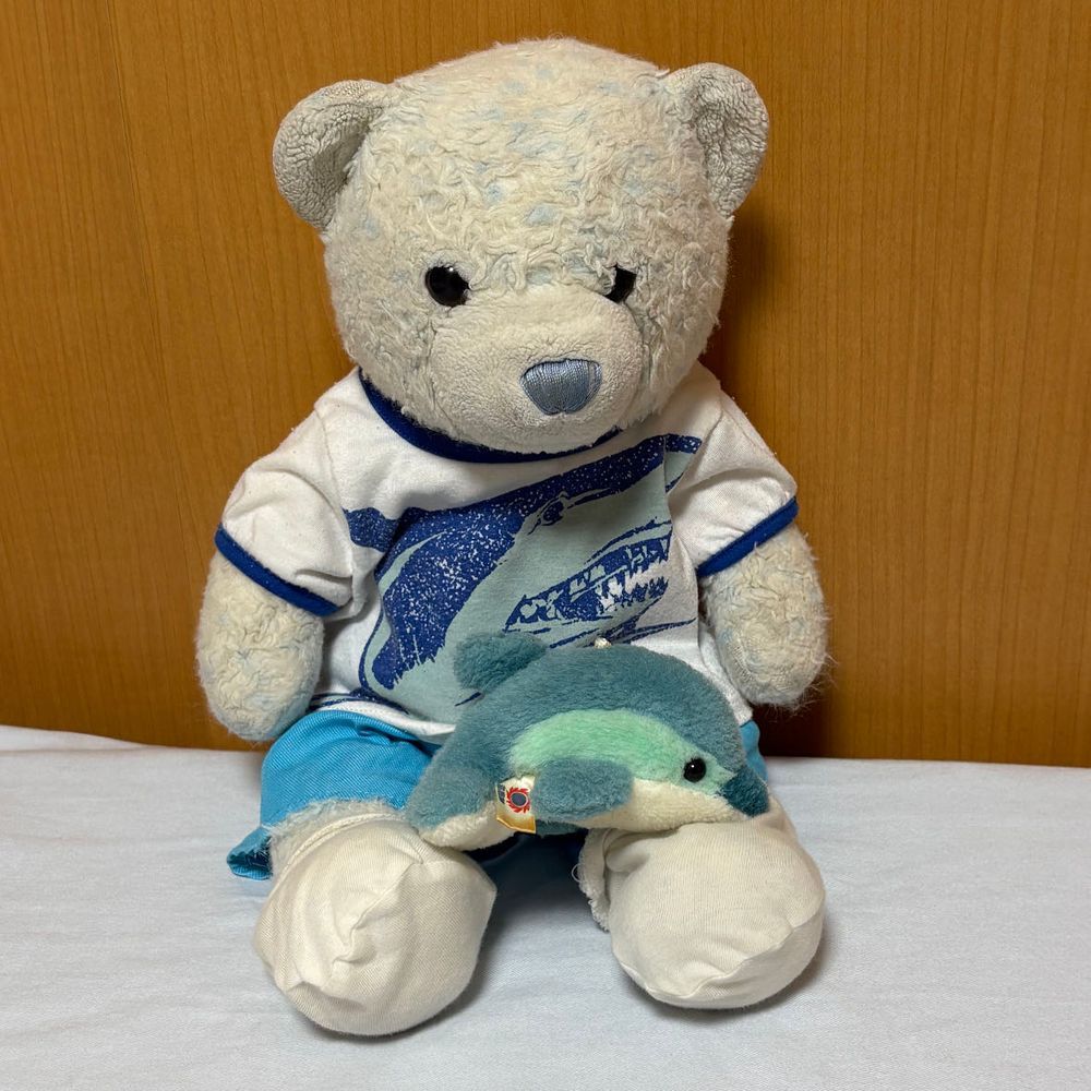 今日のけあはサメの服。
こう見えてけあは時々サメ映画を観るよ。くだらなさがいいんだよね。
あれ、膝の上に乗ってきたキミはイルカのような…？

明日から旅行だから、返信遅くなるかも。ごめんね。